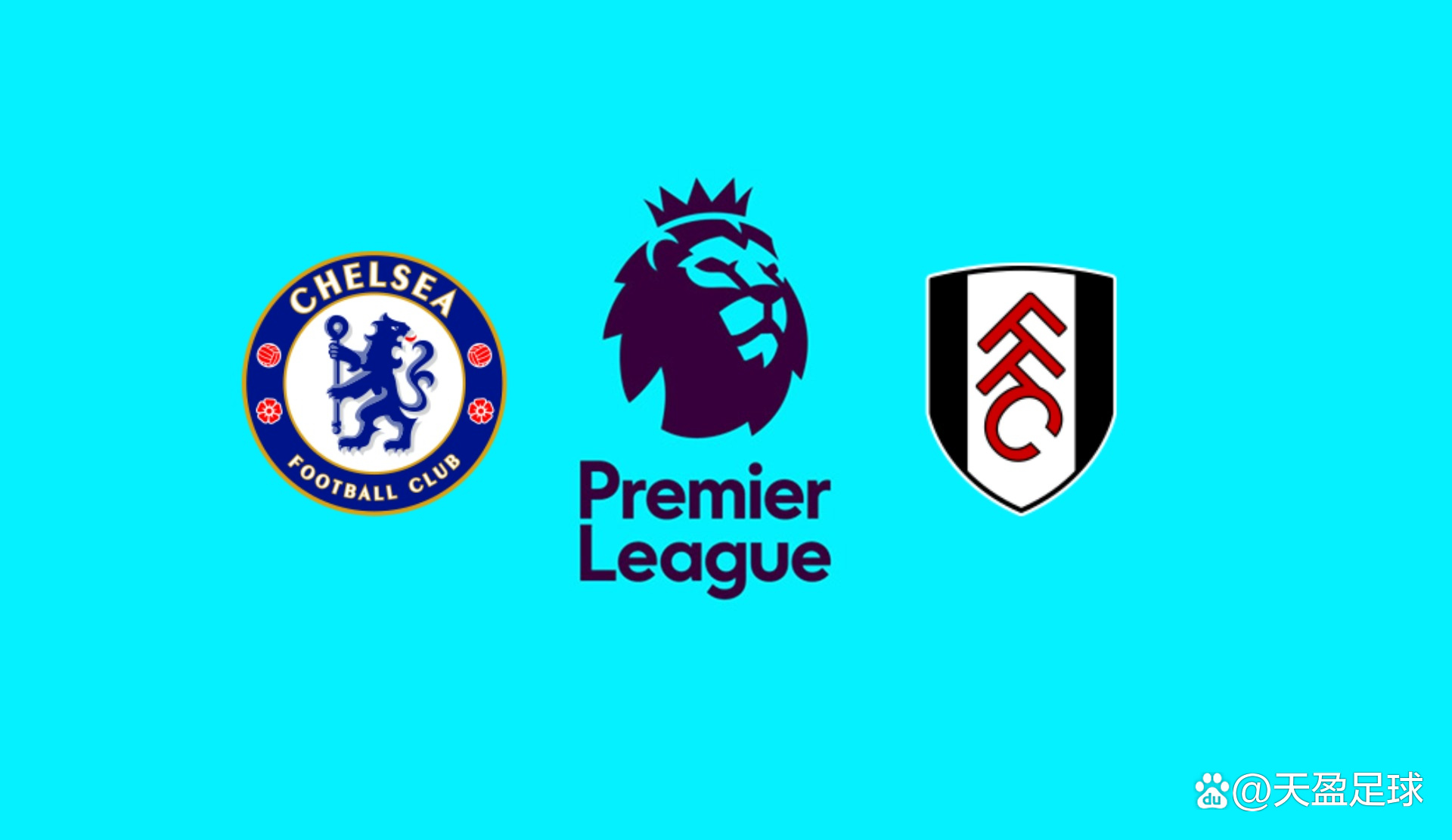 弗兰克：香港行可以用完美来形容；萨尔的努力让我印象深刻