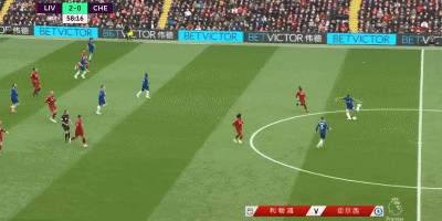 博彩公司宠物友好办公室政策